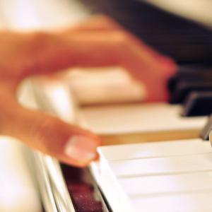 兔女郎的奇妙冒险安卓直装
