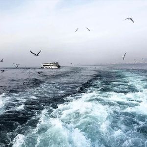 兔女郎的奇妙冒险安卓直装
