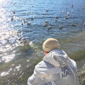 兔女郎的奇妙冒险安卓直装
