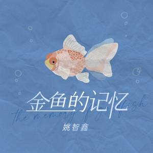 兔女郎的奇妙冒险安卓直装
