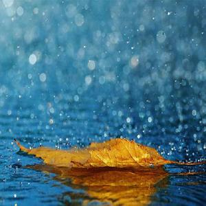 兔女郎的奇妙冒险安卓直装
